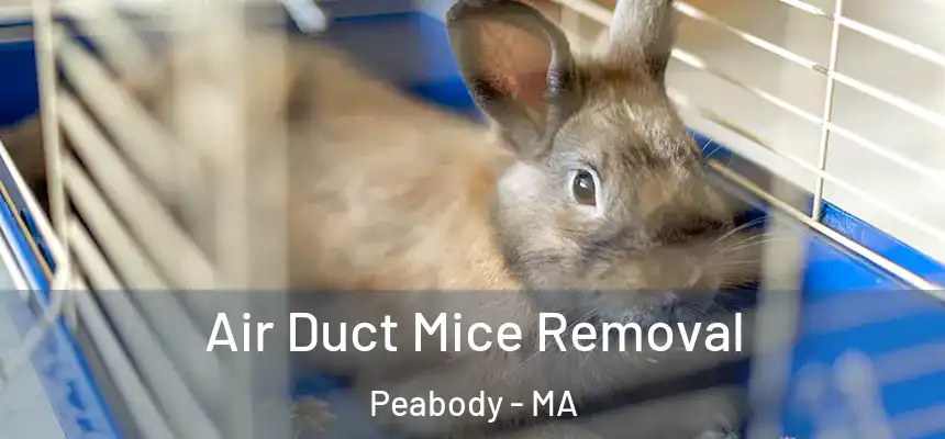  Air Duct Mice Removal Peabody - MA