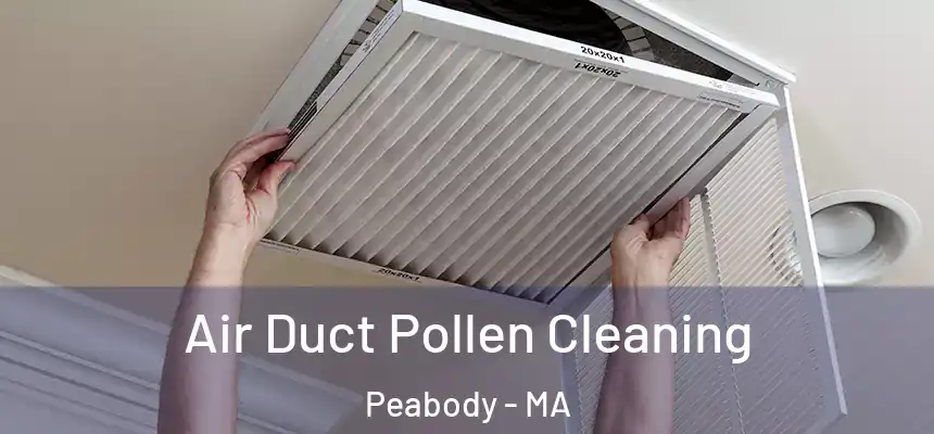  Air Duct Pollen Cleaning Peabody - MA