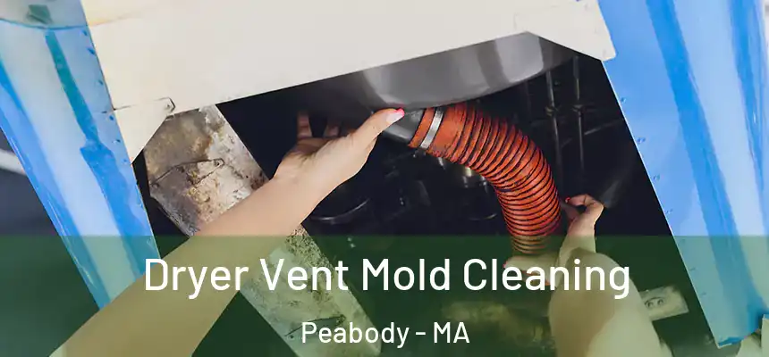 Dryer Vent Mold Cleaning Peabody - MA