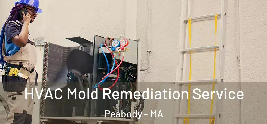  HVAC Mold Remediation Service Peabody - MA