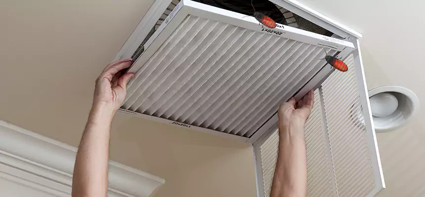 Preventive Cockroach-Proofing for Ducts in Peabody