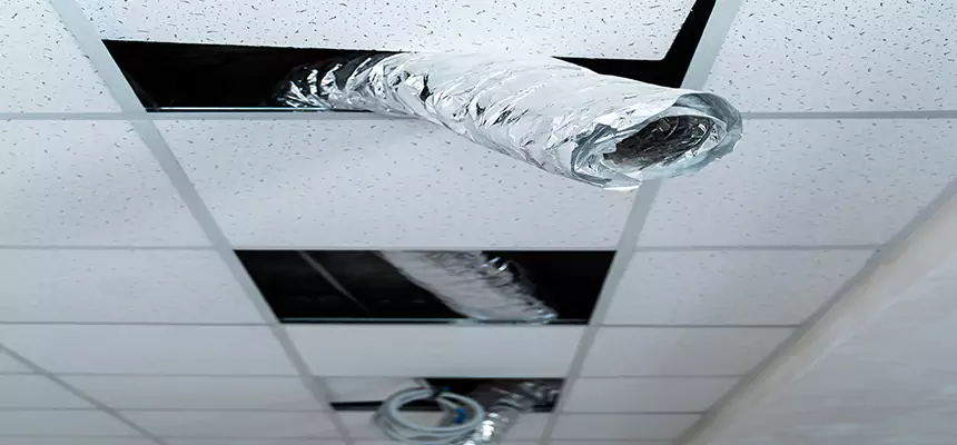 Our Air Duct Pet Hair Removal Services in Peabody, MA