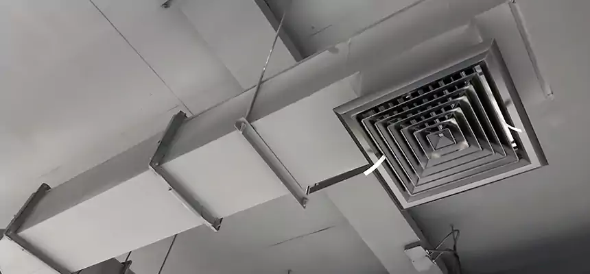 Our Rodent Droppings In Vents Services in Peabody, MA