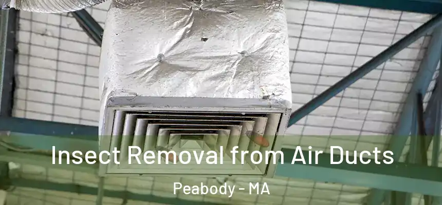 Insect Removal from Air Ducts Peabody - MA