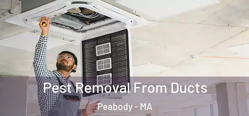  Pest Removal From Ducts Peabody - MA