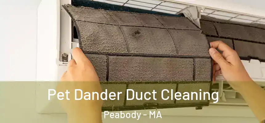 Pet Dander Duct Cleaning Peabody - MA