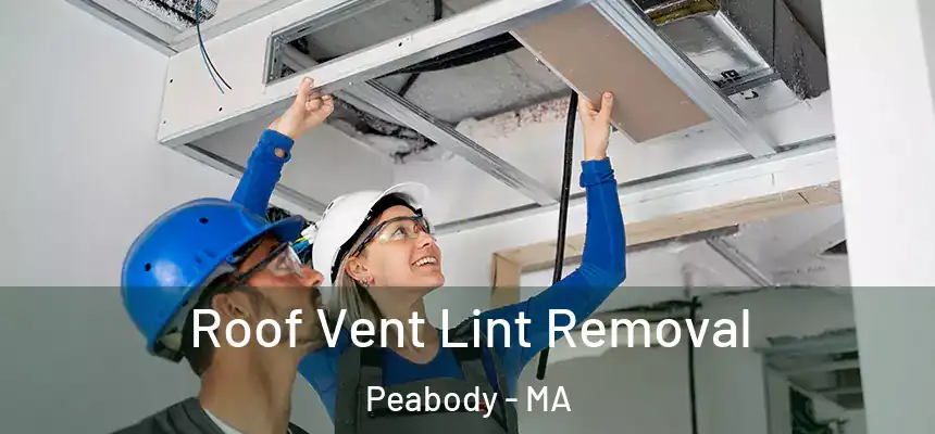  Roof Vent Lint Removal Peabody - MA