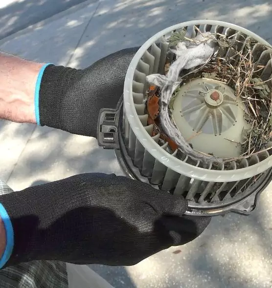 About Air Duct Rat Removal in Peabody, MA