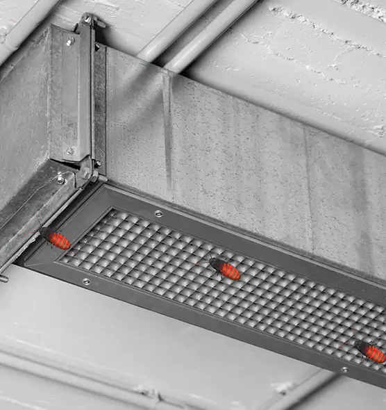 Affordable Insect Removal from Air Ducts in Peabody, MA