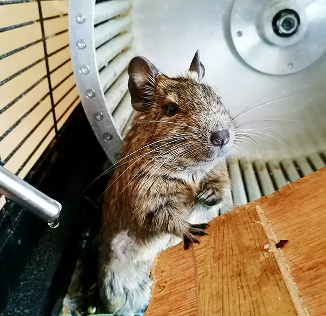 Why Homeowners & Businesses Trust Us Peabody, MA