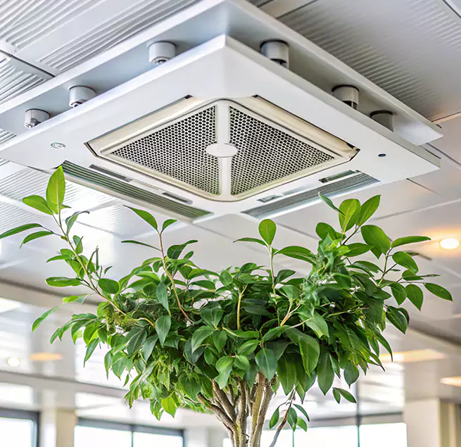 Why Homeowners & Businesses Trust Us in Peabody, MA