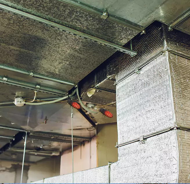 Why Homeowners & Businesses Trust Us Peabody, MA?